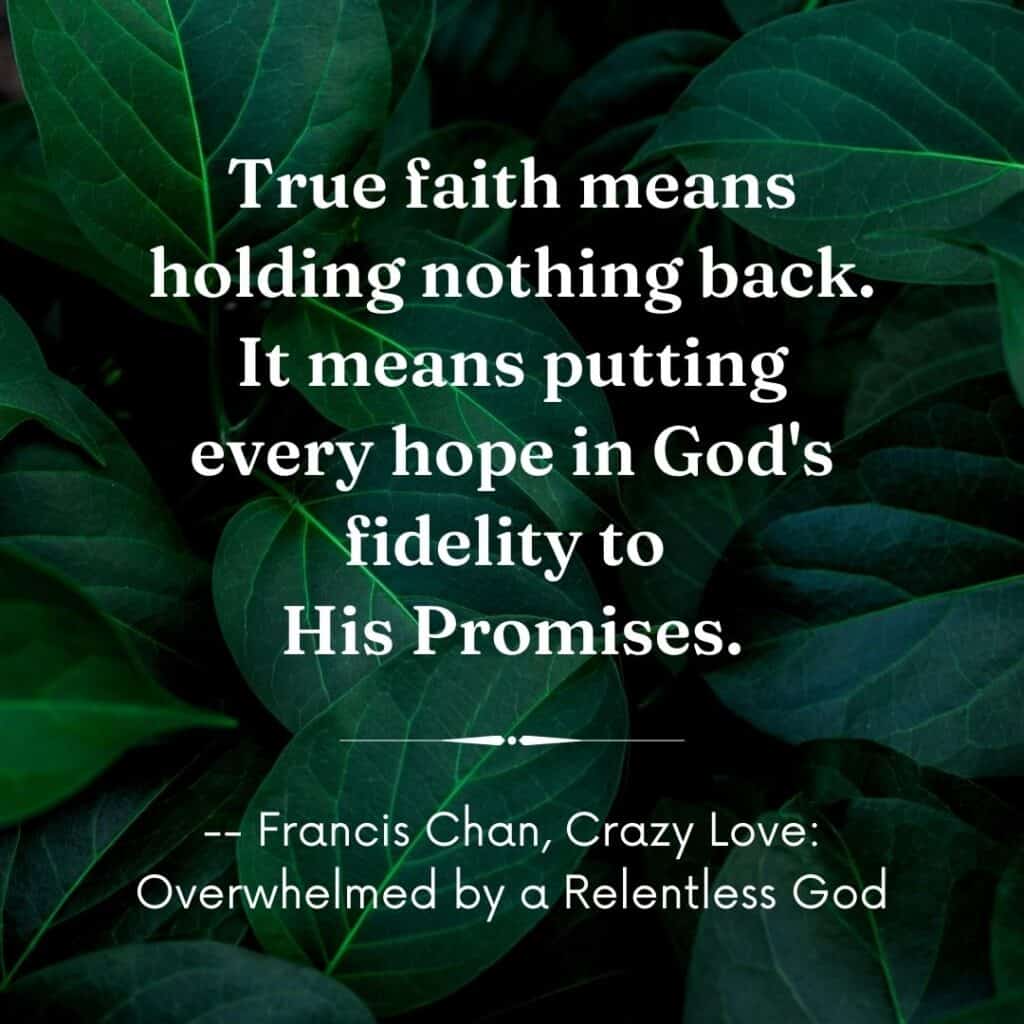 Quote by Francis Chan with green leaves as a background, Inspirational Words for Pastor Appreciation at Church Ministry Help
