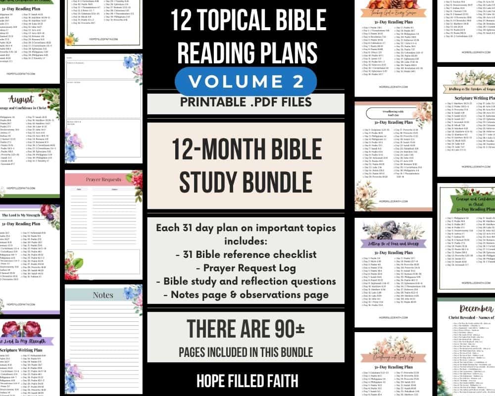 12 month Bible study Bible preview